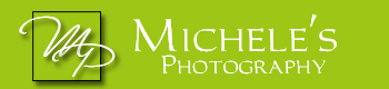 Michele's Photography